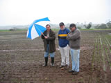 Inspecting crop Muresk WA